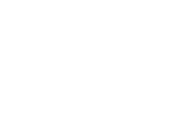 Google Ads Management & Optimisation