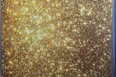 Professionele fotobooth setup met achtergrond en verlichting – trouwfeest West-Vlaanderen