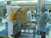 döner fabrikası projelendirme