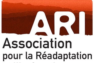 Logo ARI