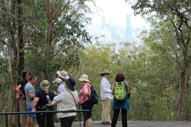 A group of walkers at the Summit lookout in Whites Hill reserve, Brisbane city skyline in view