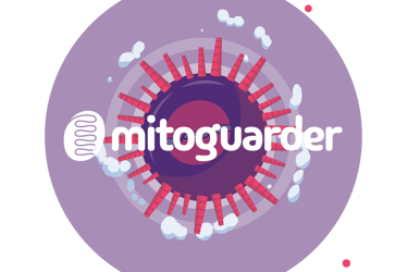mitoguarder enhanced recombinant protein producing cells