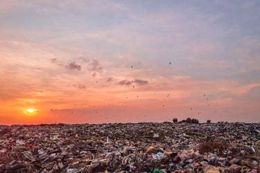 Pollution au plastique