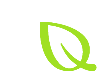 Ein grünes Blatt Symbol