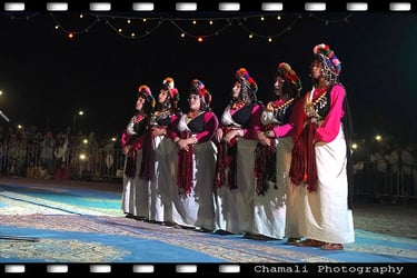 Rose Festival of Kelaa M'Gouna moroccography