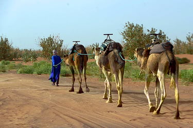 morocco photography tours