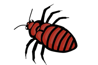 animated bed bug facing left