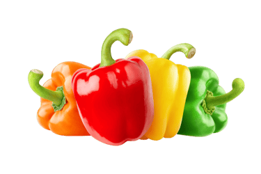 4 Colorful Bellpeppers
