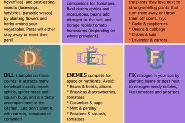Infographic A to Z of Companion Planting
