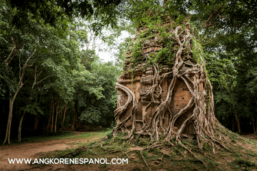 Templo Pre-Angkoriano en Sambor Prei Kuk