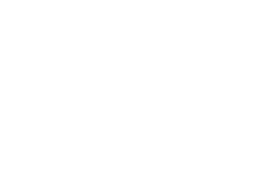 Logo of Linguages - Expert Language Services, the company name in white on elegant green background