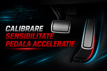 Calibrare și Optimizare Răspuns Pedală Accelerație în Moldova