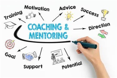 Coaching & Mentoring (Groups & Individuals)