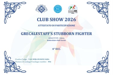 Certificato 4° Eccellente Club Show Raduno SIT Grecalestaffs Stubborn Fighter Jin