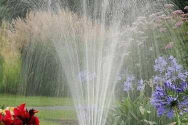 L'arrosage au jardin