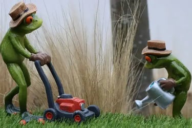 Entretien du jardin