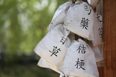 Acupuntura Japonesa en Barcelona