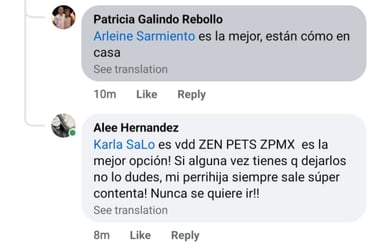 zenpets mexico hotel de perros