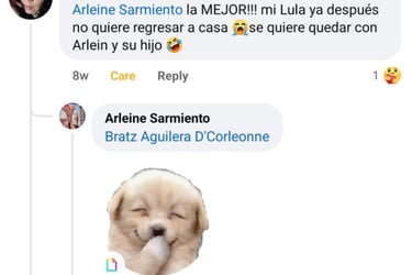 zenpets hotel para perros y gatos