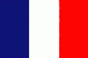 a flag of the french flag