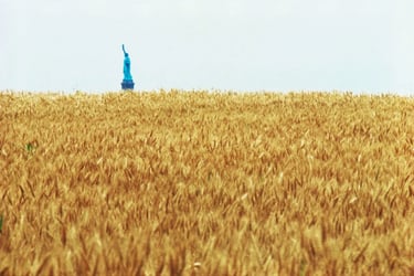 Agnes Denes "Wheatfield - A Confrontation", a statue of liberty in a field of wheat