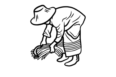 farming agricultire los cabos