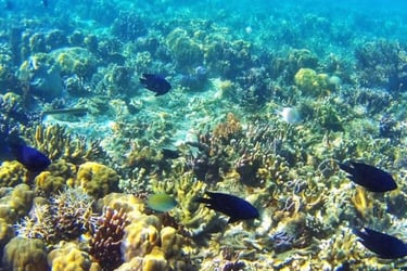 coron island palawan philippines