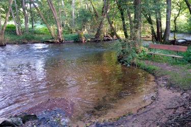 Small beach on the Yonne at Hotel Camping sur Yonne