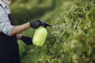formulación fertilizantes diseño fertilizantes abonos hormononas pesticidas naturales