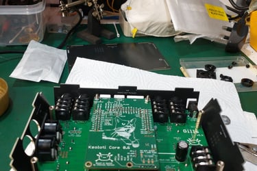 Ksoloti Gills: Enclosure build 5