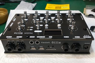 Ksoloti Gills: Enclosure build 7