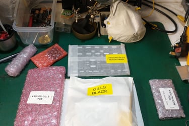 Ksoloti Gills: What's in box 2