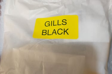 Ksoloti Gills: What's in box 4