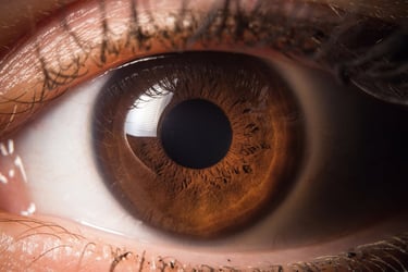 iridologie et naturopathie