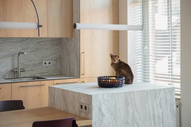 Virtuvės projektas Užupyje