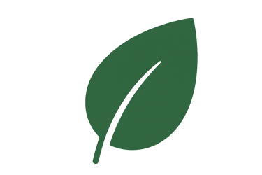 Simple green leaf icon representing natural and herbal elements