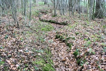 Tranchés à Loyers 1914