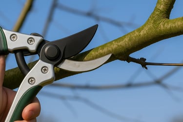 tree pruning