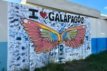 I love Galapagos graffiti from Adventures By Disney Galapagos