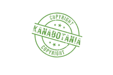 Tampon "Kanabotania copyright"