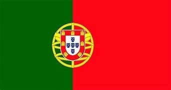 RALO Legal Tech Portuguese Language - Coming next