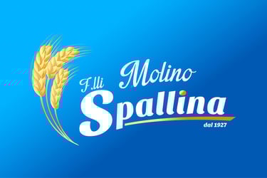 ingrosso farine farina Catania farina biologica grano pizza pane panificio pasticceria