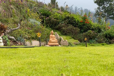 Garden @ SilverOak Coonoor
