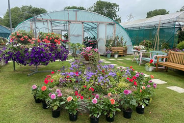 Island Gardens nursery and café in Church Street Upwey