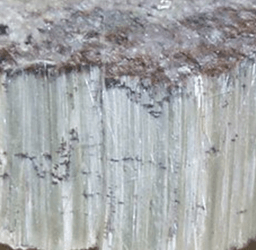 Asbestos