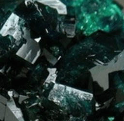 Dark Emerald