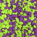 Geen Purple