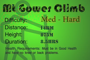 Mount Gower Climb Difficulty Rating Med-Hard, 14km, 875m height, 8.5hrs walk