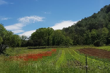 un cadre naturel idéal pour des formations et team building
