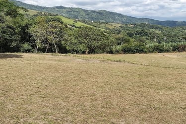 lotes en zona rural de nocaima ideales para construir